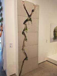 VECHTCLUB - 1.kunstwerk in zijn geheel