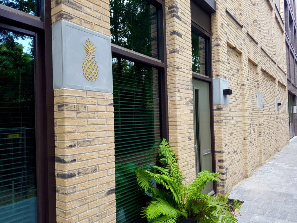 VECHTCLUB - Ananas en armaturen op rij a