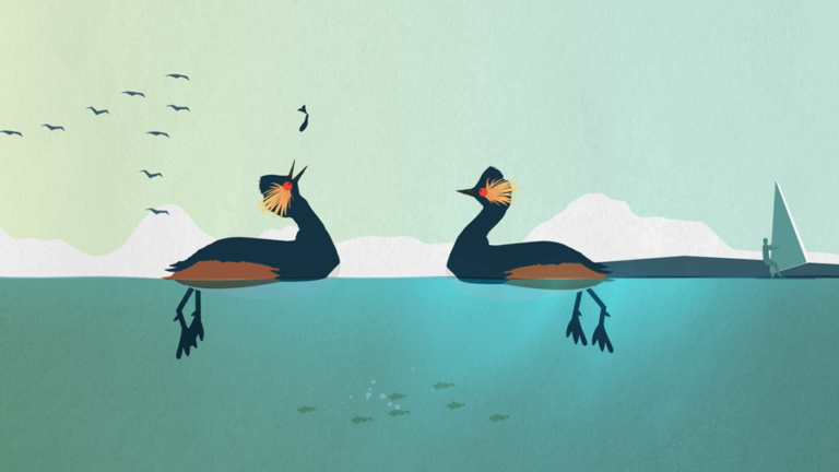 VECHTCLUB - Cg_leon_screenshotswerk (1)