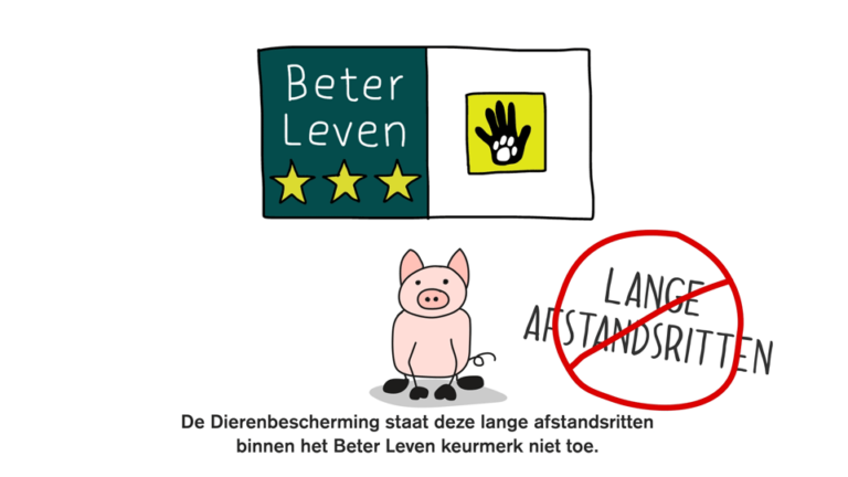 VECHTCLUB - Cg_leon_screenshotswerk (5)