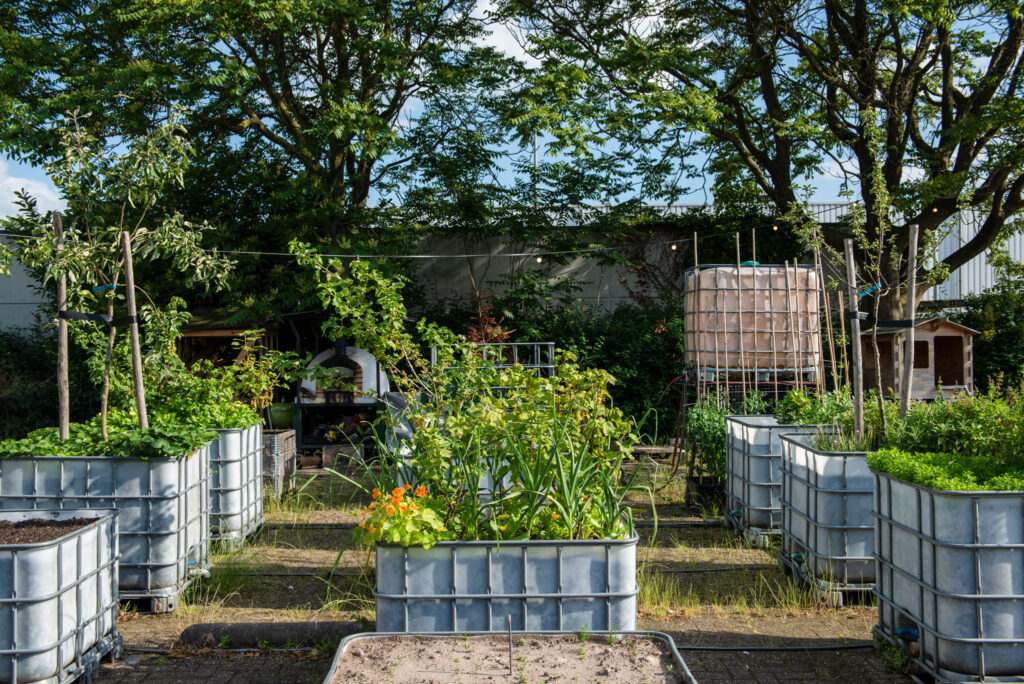 VECHTCLUB - Tpj_vcxl_buitenterrein_tpj0994_web