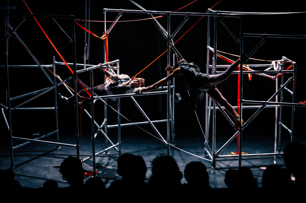 VECHTCLUB - De spin en de vlieg 25 © christein van hoffen