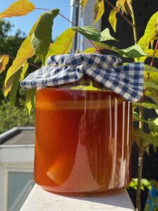 VECHTCLUB - Kombucha