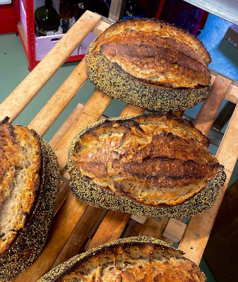 VECHTCLUB - Photo-2025-10-04-10-42-43 2