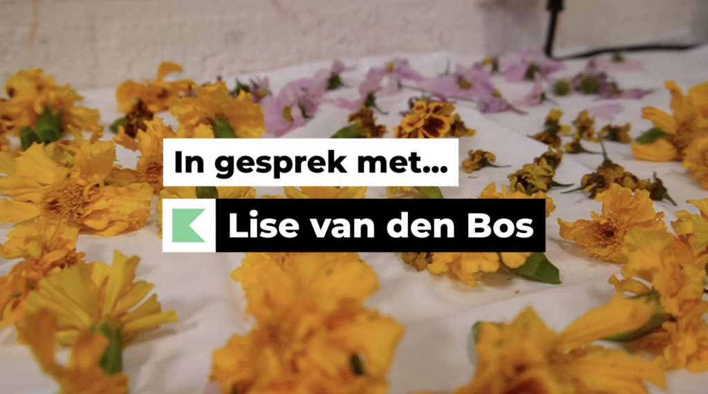 VECHTCLUB - Screenshot 2026-01-12 at 11.14.43